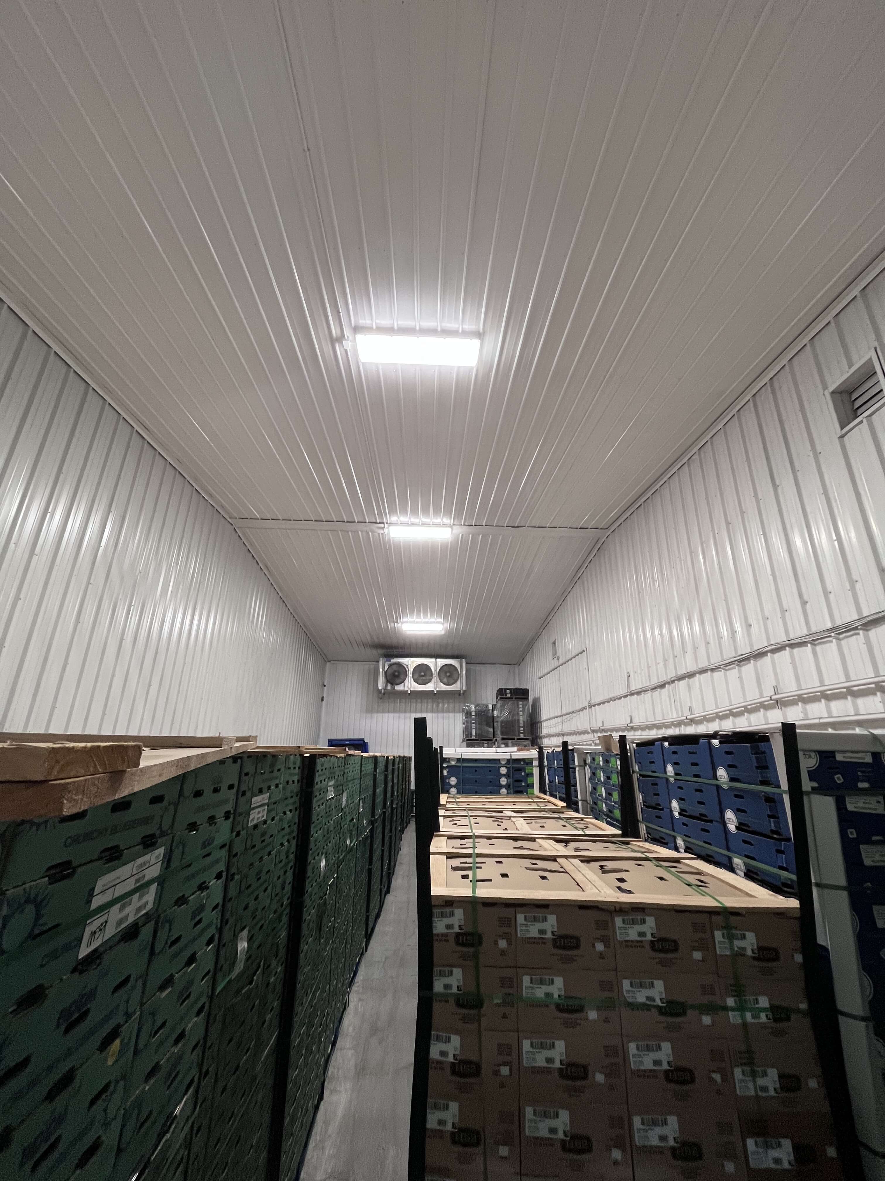 Temperature-controlled cold room with produce boxes on pallets
